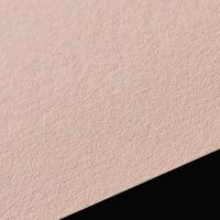 山櫻 名刺 C088 ネズミ 4号名刺 100枚入 20125567 1箱