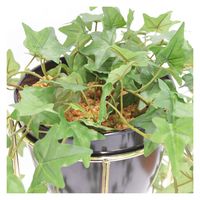 アントレックス bcl フェイクグリーン スタンドポット 幅210×奥行210×高さ630mm アイビー 4992831250548 1個（直送品）