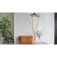 ニッペホームプロダクツ STYLE MORUMORU 4976124882548 1個