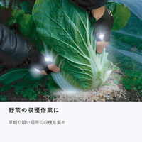 東京ミモレ 手もとライトグローブ TMTL-001 1個