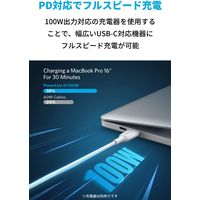 Anker USB Type-Cケーブル 1.8m 100W - USB（C）[オス] 1本