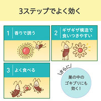 アース製薬 ホワイトキャップ ゴキブリホウ酸ダンゴ 16個 782548 1ケース（30個×16個）（直送品）