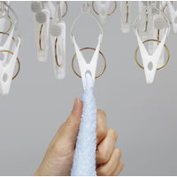 ツウィンモール 洗濯物干しスライドハンガー グレー 38ピンチ BEILU BE-02G 1箱