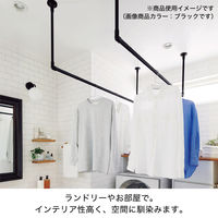 TOSO お洒落なランドリーバー〈ハングングバー・ホワイト〉W2780×H270 4975559921907 1セット（直送品）