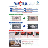 水谷ペイント 穴埋め速乾（樹脂液×2缶、骨材×2袋、ビニル手袋2双、コテ1個） 6360-0000-260 1箱（1セット）（直送品）