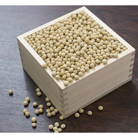 ウメザワ 桧 一升マス 4905033293176 1セット:2個（直送品）