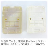 氷点下パックGT-16℃・ハード1200g 81660611 1個 LOGOS/ロゴス