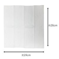 レーヨン不織布おしぼり Luxury H26 1袋（50枚入）