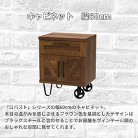 エイ・アイ・エス ロバスト キャビネット 幅600×奥行450×高さ753mm ブラウン ROB-7560CB BR 1台（直送品）