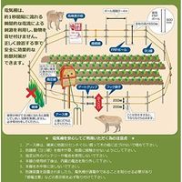 アポロ ACアダプター APSP共用 AP-AD116 2100102 1個（直送品）