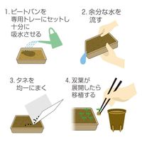 サカタのタネ サカタ SF ピートバン 5枚入 2100452 1セット