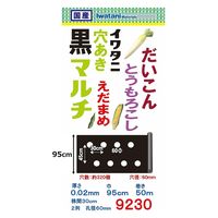 岩谷マテリアル 岩谷 穴あき大根黒マルチ0.02mm×950mm×50m 2100718 1巻（直送品）