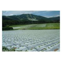 岩谷マテリアル 岩谷 菜園用リバースマルチ白黒0.02mm×950mm×50m 2100734 1巻（直送品）