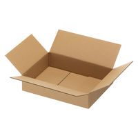 【60サイズ】現場のチカラ エコノミータイプ 軽梱包用ダンボール シャツ・薄物衣類向けサイズ 外寸：303×216×76mm 1セット（100枚） オリジナル