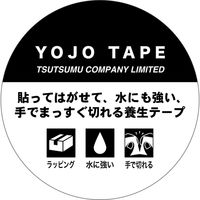 包む グリタリングフラワーB 45mm 養生テープ 9-102-0 1個