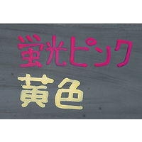 シンワ測定 工事用 ペイントマーカー 中字 丸芯 蛍光ピンク 78419 1本