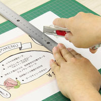 ライオン事務器 ステンレス直線定規 15cm S-15 日本製 27150 1本