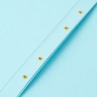 セキセイ のび~るファイル A4S 4穴 青 最大収納枚数1000枚 AE-50-10 1冊