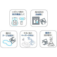 富士フイルム和光純薬 除菌ドライシートKEEPURE 160枚入り 296-36313 160枚入×1パック