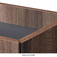 【軒先渡し】朝日木材加工 サイドワゴン 幅301×奥行301×高さ502mm ブラウン WPM-5030DE-DB 1台（直送品）