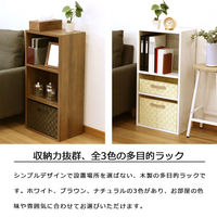 エイ・アイ・エス 可動棚カラーボックス 3段 幅428×奥行292×高さ889mm ブラウン CO-05BR 1台（直送品）