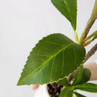 ストア・エキスプレス フェイクグリーン　フィカス　Ｈ１６０ｃｍ 8566-118 1台（直送品）