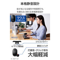 ワイヤレスキーボード マウスセット 静音 無線 2.4GHz 薄型 テンキー付 TK-QT30DMCBK エレコム 1セット（直送品）