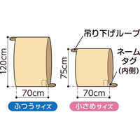 オオサキメディカル プラスハート スライディングシート 小さめ 1枚入 75170 1個