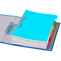 アスクル カラーインデックス A4タテ インデックスシート 2穴 6山 PP製 1組  オリジナル（わけあり品）