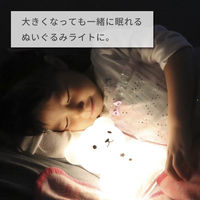 ハシートップイン こぐまのおやすみライト　BR　 kari4535147747175 1個