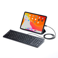 有線キーボード USB Type-C接続/薄型/フルキー/スリムキーボード SKB-SL31CBK 1個 サンワサプライ（わけあり品）