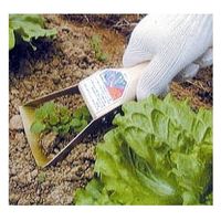 ドウカン 中耕くわ(片手用) DS030 1セット(3本)（直送品）