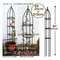 第一ビニール DAIM ローズオベリスク ブラックリング 直径25cm×高さ210cm 225143 1個（直送品）