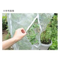 日本マタイ 実のり野菜の虫よけカバー 菜園プランター用 ファスナー付き 205×175cm 275768 1個（直送品）