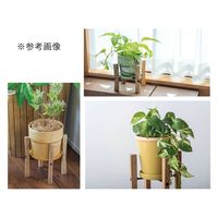 ポッシュリビング フォールディングポットスタンド 6号鉢用 植木鉢 スタンド 281672 1個（直送品）