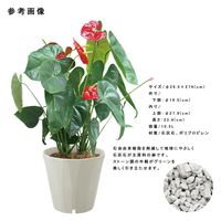 リッチェル ラピスポット 30型 ホワイト 285966 1個（直送品）