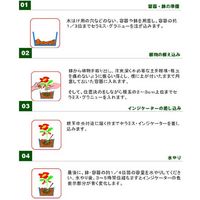 創和リサイクル SERAMIS セラミス・グラニュー(室内容器栽培用土) 7.5L(3kg) 52593 1個（直送品）