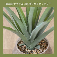 不二貿易 フェイクグリーン アロエ M セメントポット 41136 1個
