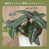 不二貿易 フェイクグリーン アロカシア セラミックポット 41138 1個