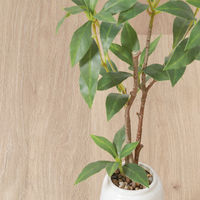 不二貿易 フェイクグリーン ギンモクセイ セラミックポット 41133 1個