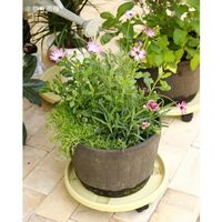 スパイス キャスター付き プランタートレイ ベージュ 282828 1個（直送品）