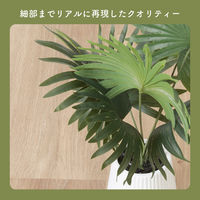 不二貿易 フェイクグリーン パナマソウ セラミックポット 41129 1個