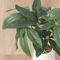 不二貿易 フェイクグリーン パキラ セラミックポット 41128 1個