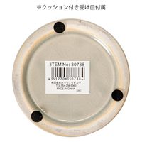 ポッシュリビング グロッシーポット ムーンミスト 4号鉢 受け皿付き 植木鉢 おしゃれ 観葉植物 282819 1個（直送品）