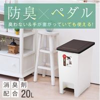 アスベル R防臭エバン・ペダルペール20L 4950672654116 1個