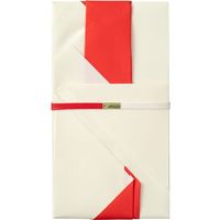 デザインフィル 金封 お祝 折形 三角 1枚入(中袋付) 赤 25495006 1パック