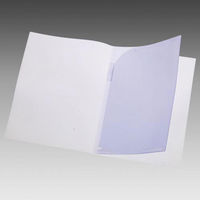 リヒトラブ 2ポケットホルダー A4 赤 F-3410-3 1枚