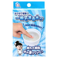 池田工業社 こどもラボ おうちで実験! 一瞬で凍る水!? 800 1個