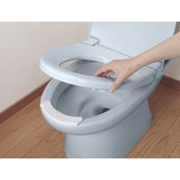 サンコー トイレ 汚れ防止 おしっこ吸う パット 1箱 100コ入 掃除 飛び散り 臭い対策 リーフ箱 日本製 AA-28