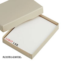 リヒトラブ Roomy デスクトレー A4ワイド ベージュ A793-16 1個